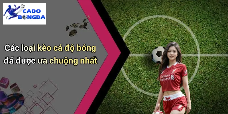 Cá độ bóng đá 67 Cá Độ Bóng Đá