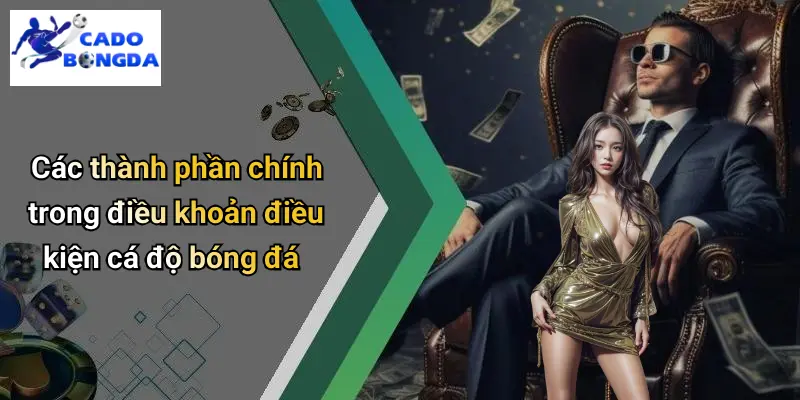 Điều Khoản Điều Kiện