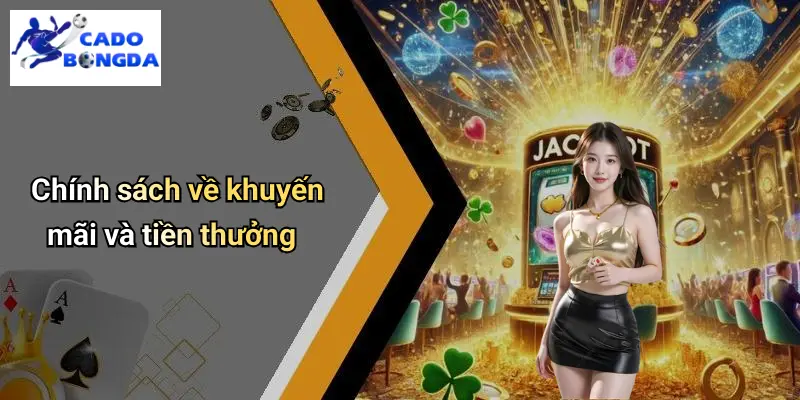 Điều Khoản Điều Kiện