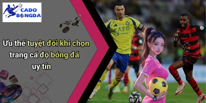 Cá độ bóng đá 68 Cá Độ Bóng Đá