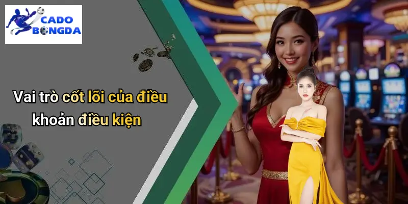 Điều Khoản Điều Kiện