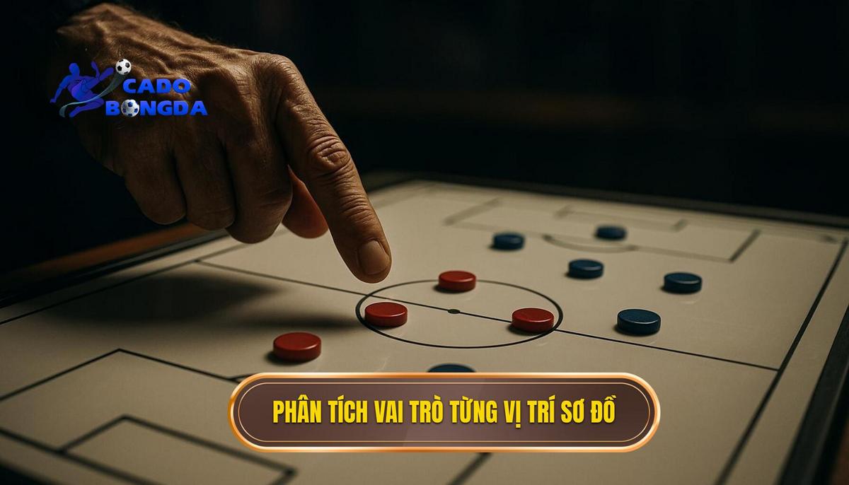 Phân tích vai trò chuyên sâu của từng vị trí trong sơ đồ