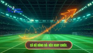 Kèo tài xỉu đang xoay chiều
