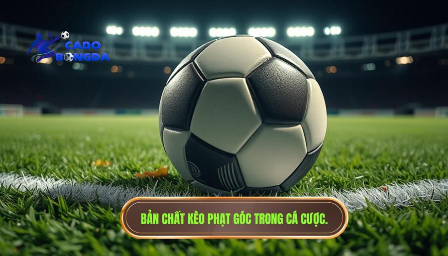 Những lưu ý khi chơi kèo phạt góc: Cẩm nang toàn diện từ chuyên gia CÁ ĐỘ BÓNG ĐÁ 1 Hiểu rõ về bản chất của kèo phạt góc