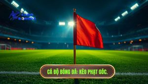 Dấu Hiệu Trận Đấu Nhiều Phạt Góc: Cẩm Nang Toàn Tập Cho Người Chơi Chuyên Nghiệp