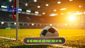 Những lưu ý khi chơi kèo phạt góc: Cẩm nang toàn diện từ chuyên gia CÁ ĐỘ BÓNG ĐÁ