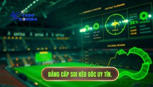 Đội bóng nào thường thắng kèo góc? Bí kíp soi kèo phạt góc từ chuyên gia
